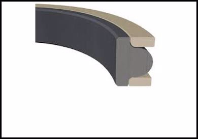 Picture for category T-SEAL PISTON