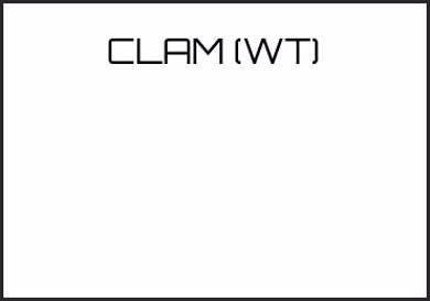 Picture for category CLAM (WT)