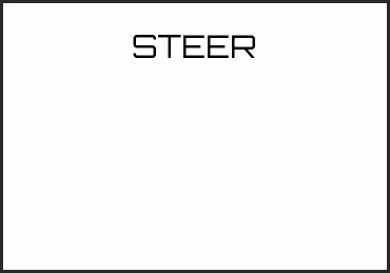 Picture for category STEER