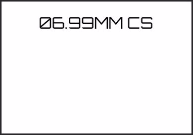 Picture for category 06.99MM CS