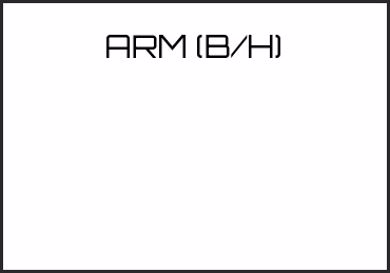 Picture for category ARM (B/H)